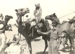 irvineegypt1943